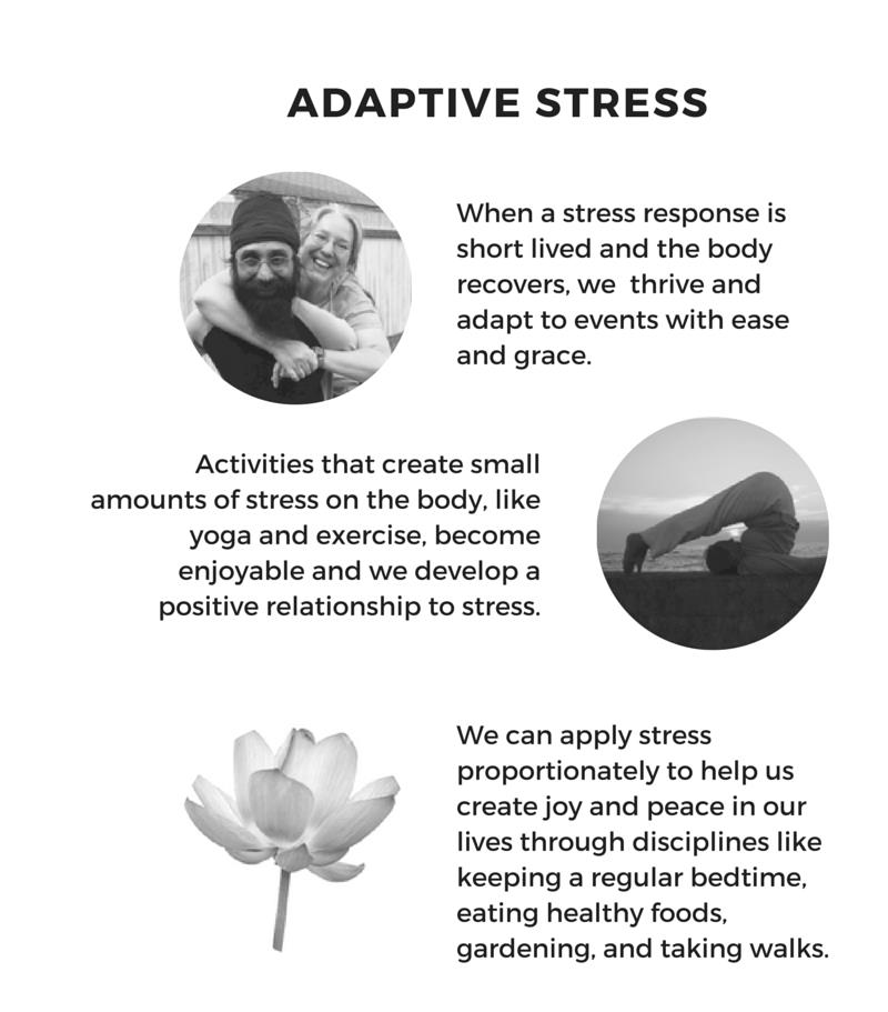Stress Anatomy infographic 3